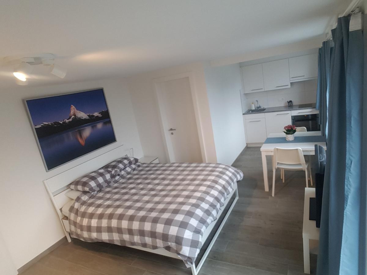 Lake View Private Studio Richterswil 外观 照片