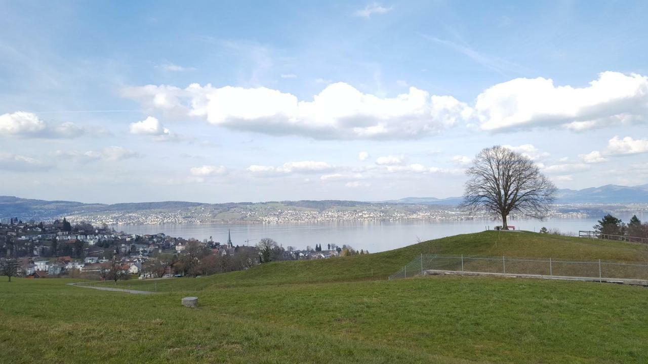 Lake View Private Studio Richterswil 外观 照片